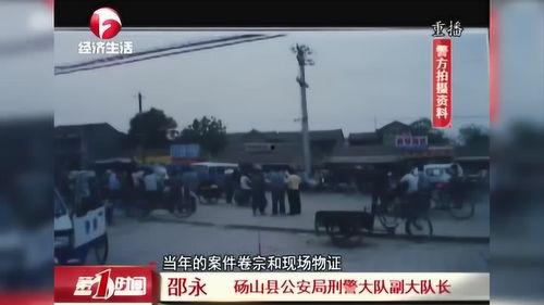 砀山事件爆料视频大全,真相与争议交织的舆论漩涡